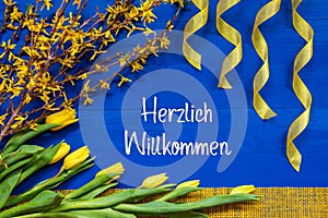 Spring Flowers Decoration, Branch, Ribbon, Herzlich Willkommen Means Welcome