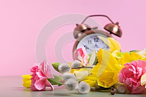 Spring flowers with defocused alarm clock. Spring time, daylight savings concept, spring forward