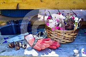 Spring flowers in early season garden with tools and flower basket with garden maintenance