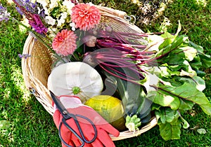 Spring flowers in early season garden with tools and flower basket with garden maintenance