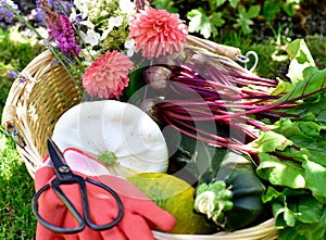 Spring flowers in early season garden with tools and flower basket with garden maintenance
