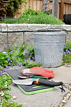Spring flowers in early season garden with tools and weeding pail ready for garden maintenance