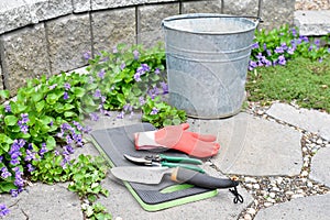 Spring flowers in early season garden with tools and weeding pail ready for garden maintenance