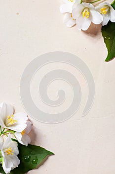 Spring flowers frame on old paper background