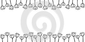 Spring flowers. Frame from outline tulips. Vector doodle hand drawn isolated. Horizontal top and bottom edging, border, decoration