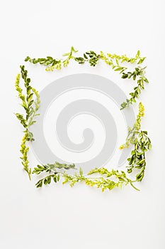 spring flowers frame. yellow flowers and green leafs on white background