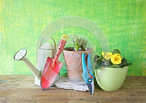 Spring flowers and gardening tools