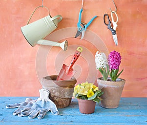 Spring flowers and gardening tools