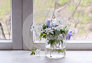 Spring flowers in glass jar