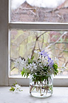 Spring flowers in glass jar