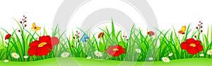 Spring flowers and grass header