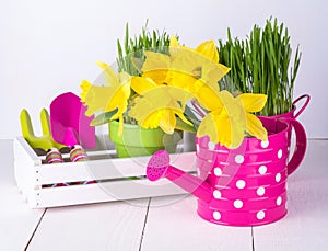 Spring flowers and green grass with garden tools .