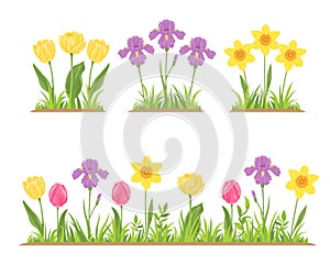 Spring flowers and green grass set. Blooming flower bed with daffodils, yellow and pink tulips and purple irises.
