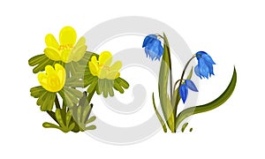 Spring Flowers on Green Stem as Seasonal Botany Growing Vector Set