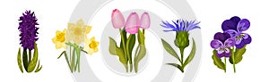 Spring Flowers on Green Stem as Seasonal Botany Growing Vector Set