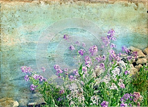 Spring Flowers on a Grunge Background