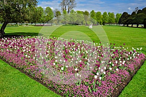 Spring flowers in Hampton court gardens, London, UK