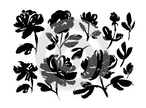 Spring flowers hand drawn vector set. Roses, peonies, chrysanthemums isolated cliparts.