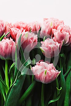 Spring flowers on marble background as holiday gift, greeting card and floral flatlay