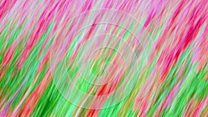 Spring flowers in May abstract