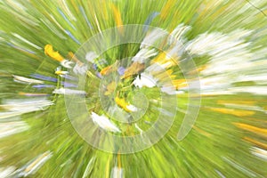 Spring flowers in May abstract in circular pattern