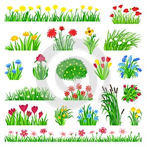 Spring flowers on meadow. Springtime, green grass and wild flower bouquets. Pansy chamomile, tulips growth in garden