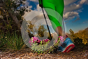 Spring flowers in the mountains on a hiking trail when a trekker passes