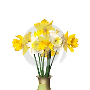 Spring flowers narcissus