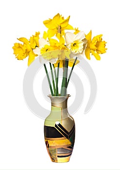Spring flowers narcissus