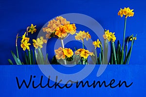 Spring Flowers, Narcissus, Text Willkommen Means Welcome