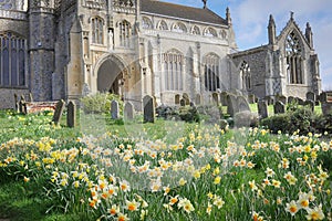 Spring Flowers and a Norfolk Church