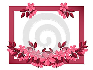 Spring flowers in the paper art style of Sakura or Cherry blossom frame with your copy space on white background