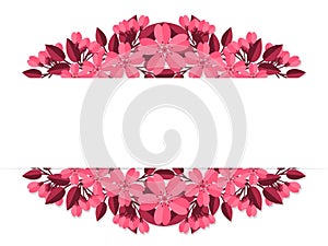 Spring flowers in the paper art style of Sakura or Cherry blossom frame with your copy space on white background