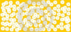 Spring flowers pattern, graphic floral motive. Vector illustration eps.