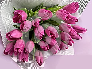 Spring flowers on a pink background, tulips. Bouquet of pink tulips in paper packaging