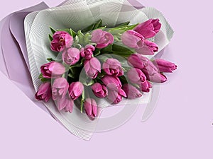 Spring flowers on a pink background, tulips. Bouquet of pink tulips in paper packaging
