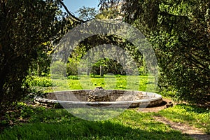 Spring flowers and plants in a botanic garden