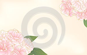 Spring flowers and plants, light pink gradient double cherry blossom peony cherry blossom frame, watercolour background