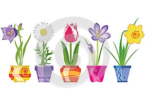 Spring Flowers In Pots, Vector Ill