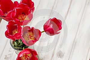 Spring flowers red tulips ina vase