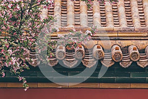 Spring flowers with red wall and ancient building background in the Forbidden City, Beijing, China