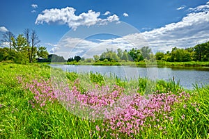 Primavera fiori un fiume cielo blu nuvole campagna 