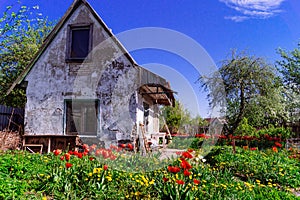 House in ruins in Kaliningrad photo