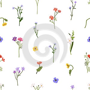 Spring flowers, seamless pattern. Botanical floral background. Summer blooms, meadow plants, wildflowers, repeating