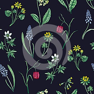 Spring flowers seamless pattern. Wildflowers background. Forest plant, greenery, wild flowers sketches. Hand drawn vector