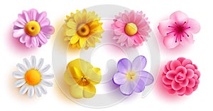 Spring flowers set vector design. Spring flower collection like daffodil, sun flower, crocus, daisy, peony and chrysanthemum