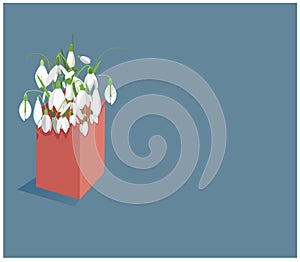 Spring flowers snowdrops holiday mother`s day vector gift