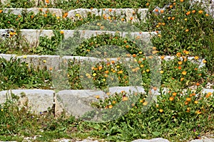 Spring Flowers on steps in Noto Antica Sicily Italy 