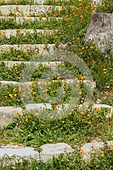 Spring Flowers on steps in Noto Antica Sicily Italy 