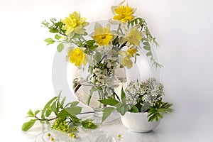 Spring flowers in still lifes. photo